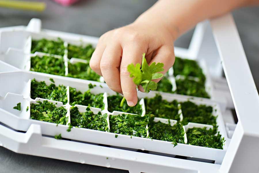 продукты которые можно замораживать, продукты которые не боятся холода