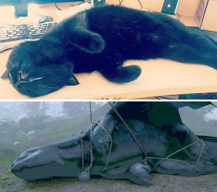 18 чёрных кошек, как две капли воды похожих на дракона Беззубика кошки похожие на Беззубика, кошки и дракон, как приручить дракона