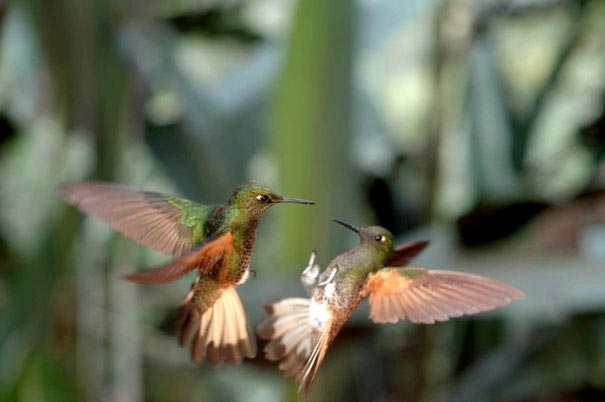 Новая порция правды, остающейся за кадром или как на самом деле делают красивые фотографии правда остающаяся за кадром, как на самом деле делают красивые фотографии