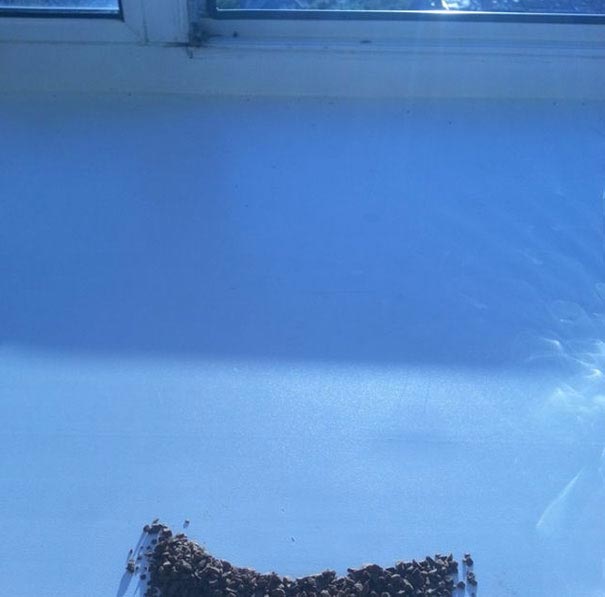 Новая порция правды, остающейся за кадром или как на самом деле делают красивые фотографии правда остающаяся за кадром, как на самом деле делают красивые фотографии