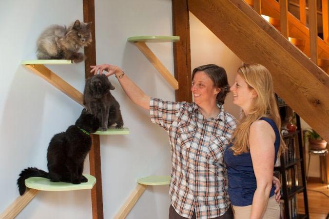 дом для семи кошек, кошкофицированный дом, дом для кошек из дерева