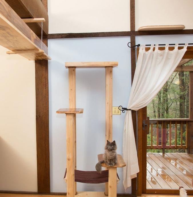 дом для семи кошек, кошкофицированный дом, дом для кошек из дерева