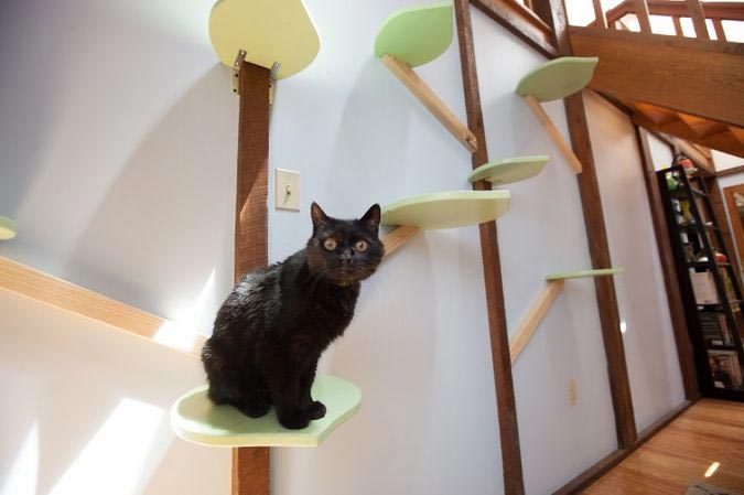 дом для семи кошек, кошкофицированный дом, дом для кошек из дерева