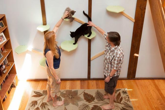 дом для семи кошек, кошкофицированный дом, дом для кошек из дерева