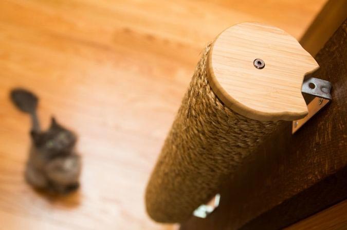 дом для семи кошек, кошкофицированный дом, дом для кошек из дерева