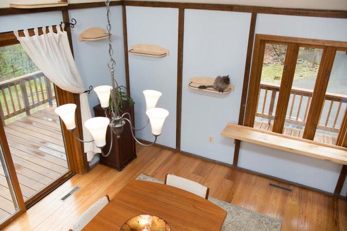 дом для семи кошек, кошкофицированный дом, дом для кошек из дерева