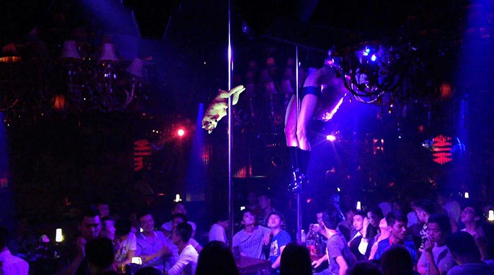 Пальмовый хаски, хаски на пальме, битва фотошоперов хаски на пальме