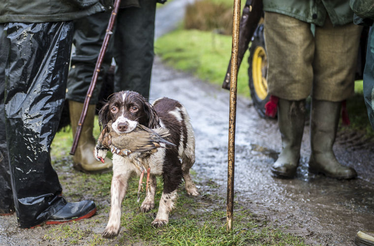 10 национальных особенностей ирландцев, которые нам не понять национальные особенности ирландцев, всё о ирландии