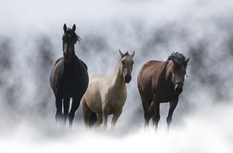 10 национальных особенностей ирландцев, которые нам не понять национальные особенности ирландцев, всё о ирландии