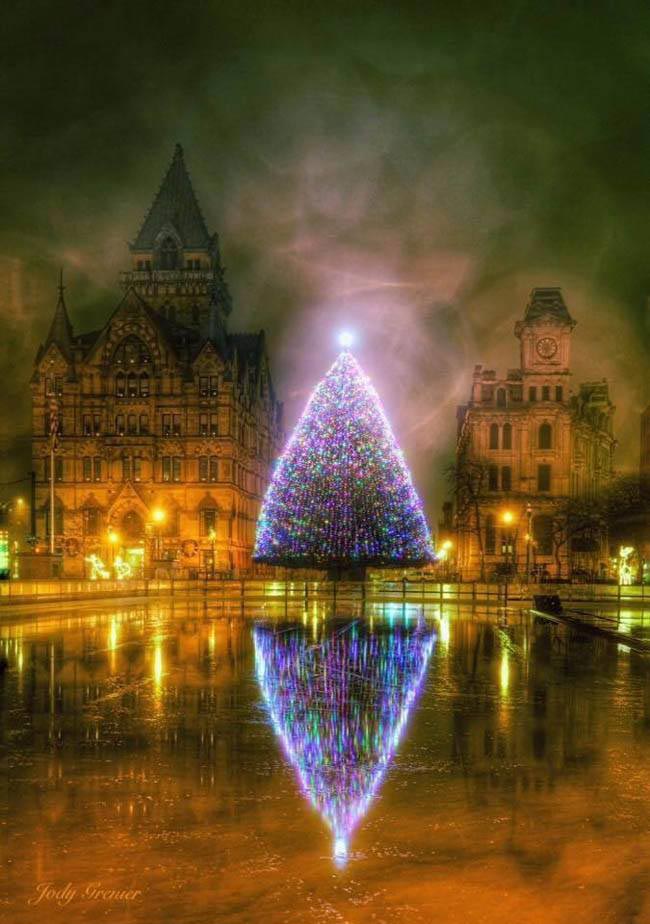 рождественские ёлки со всего мира, самые необычные рождественские ёлки со всего мира