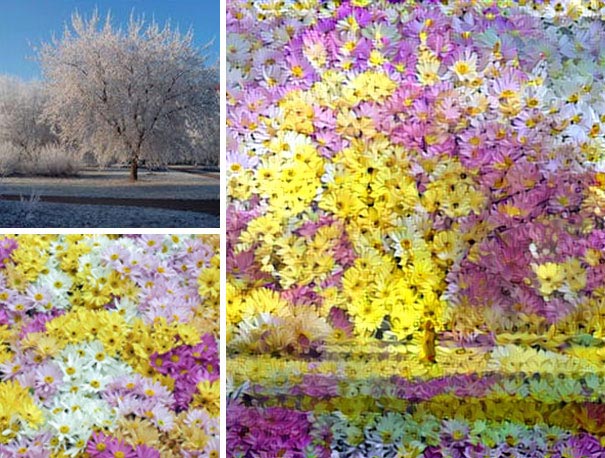 Нейронные сети: как сочетая несколько случайных фотографий получить настоящее искусство объединение фотографий нейронные сети, объединённые фотографии Ostagram, объединение случайных фото нейронные сети