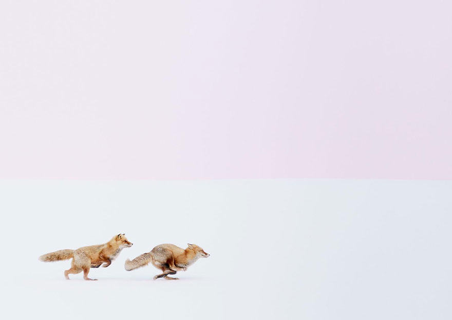 National Geographic Photo Contest 2016, фотоконкурс National Geographic 