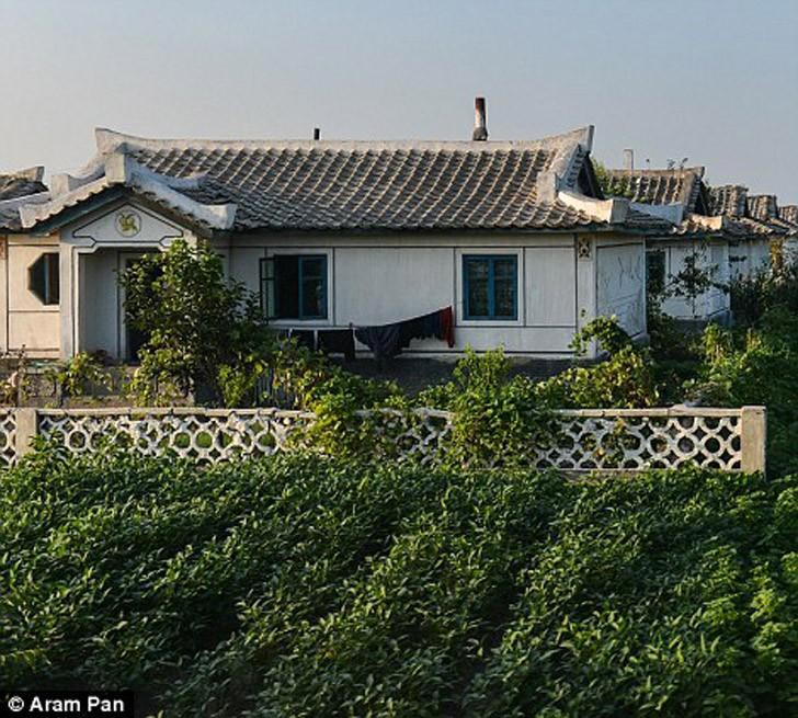 Арам Пэн, Aram Pan, фото Северной Корее, позитивные фото Северной Кореи, счастливые фото Северной Кореи