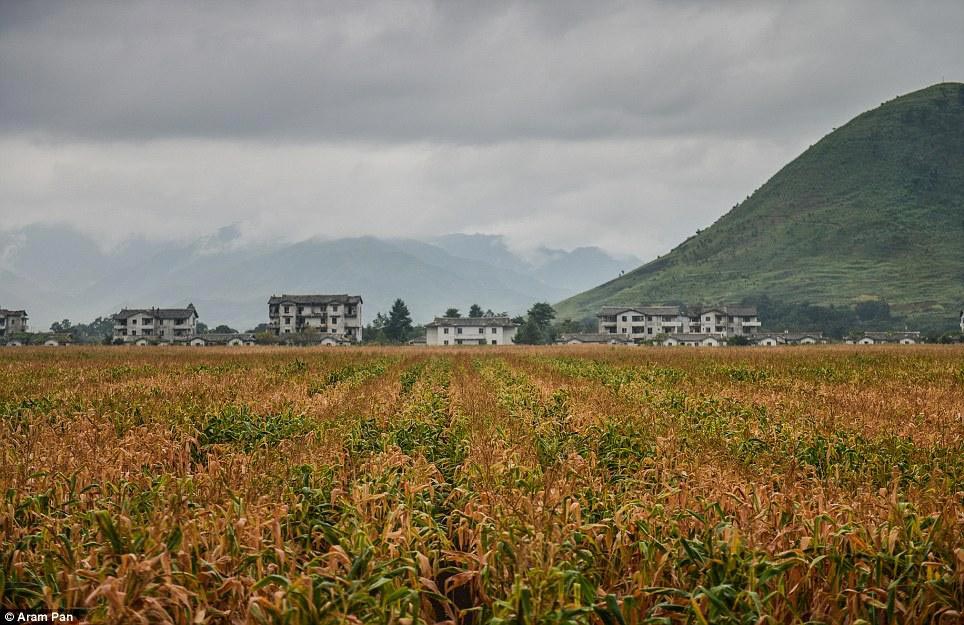 Арам Пэн, Aram Pan, фото Северной Корее, позитивные фото Северной Кореи, счастливые фото Северной Кореи