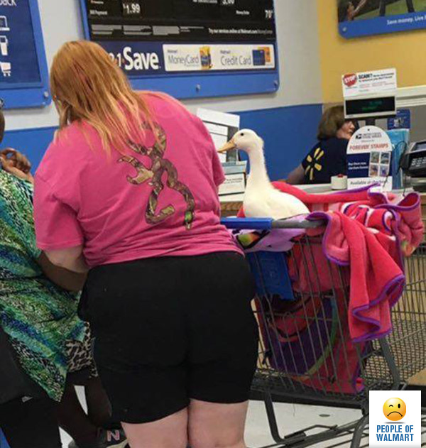 people of walmart, странные американцы, наряды посетителей американских супермаркетов