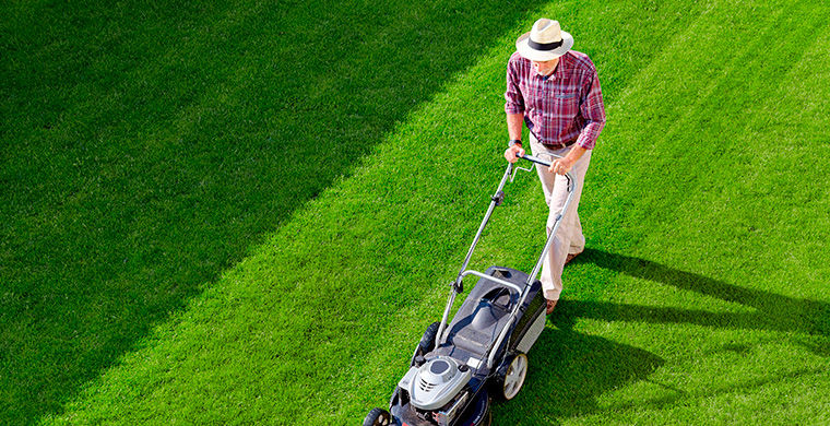 национальные особенности жителей Англии, всё об англичанах