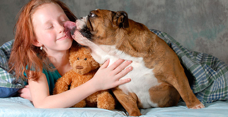 национальные особенности жителей Англии, всё об англичанах