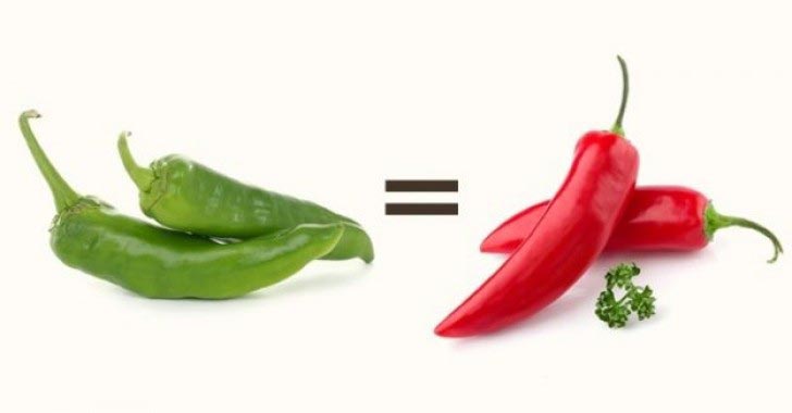 факты о еде, познавательные факты о еде