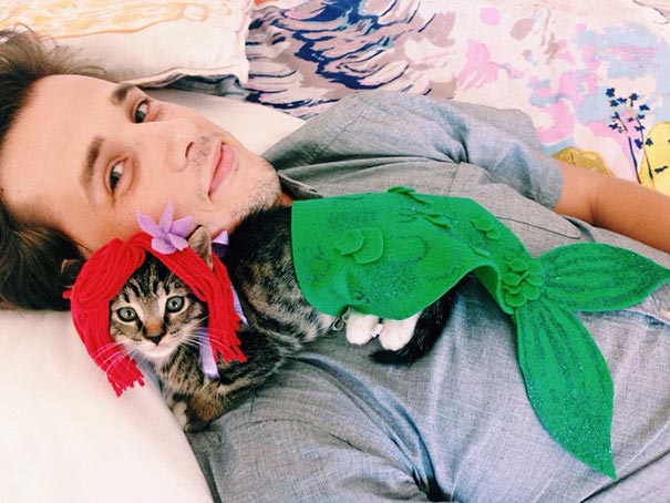 костюмы Хэллоуин для кошек, кошки в смешных костюмах