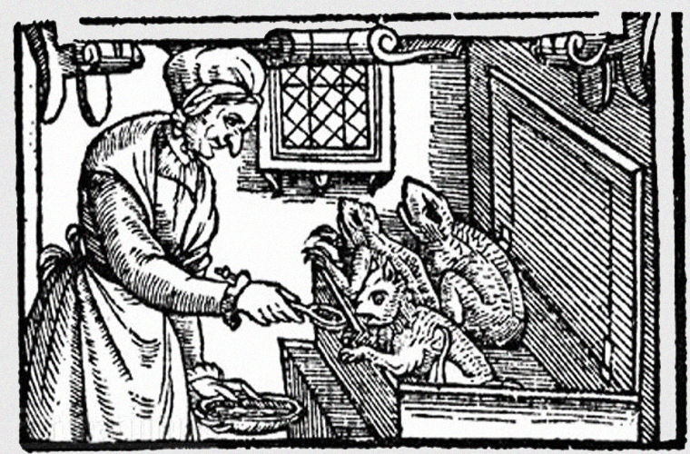 суд над животными, животные которых казнили