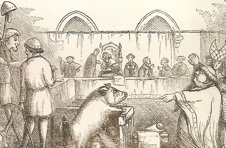 суд над животными, животные которых казнили