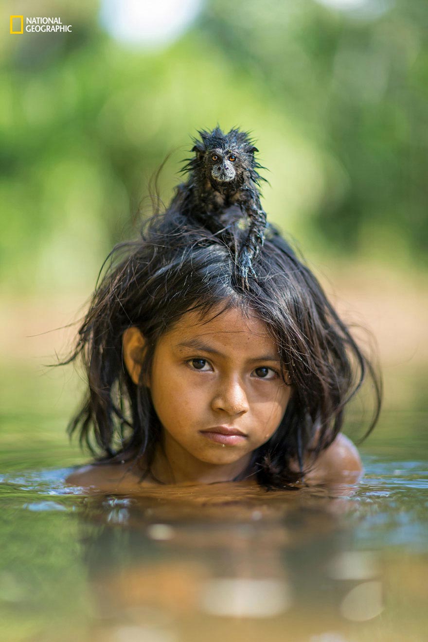  фотографии National Geographic за 2016 год, лучшие фото дикой рироды