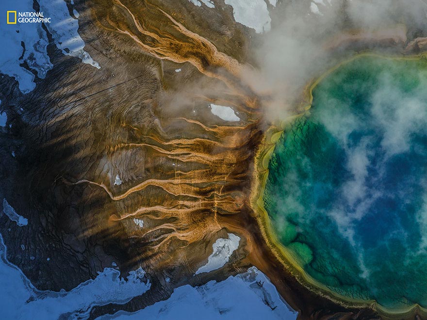  фотографии National Geographic за 2016 год, лучшие фото дикой рироды