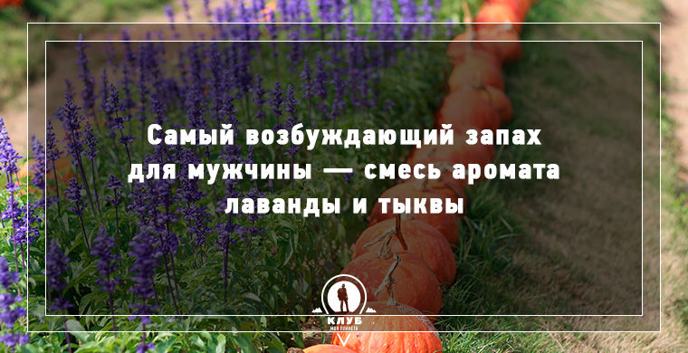 факты о любви и ceксе