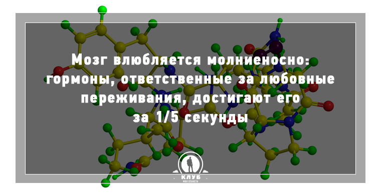 факты о любви и ceксе