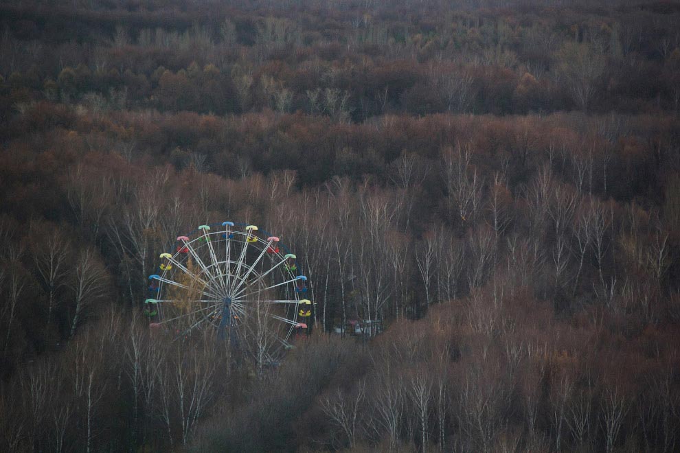 Sony World Photography Awards 2016, лучшие фотографии Sony World Photography Awards 2016