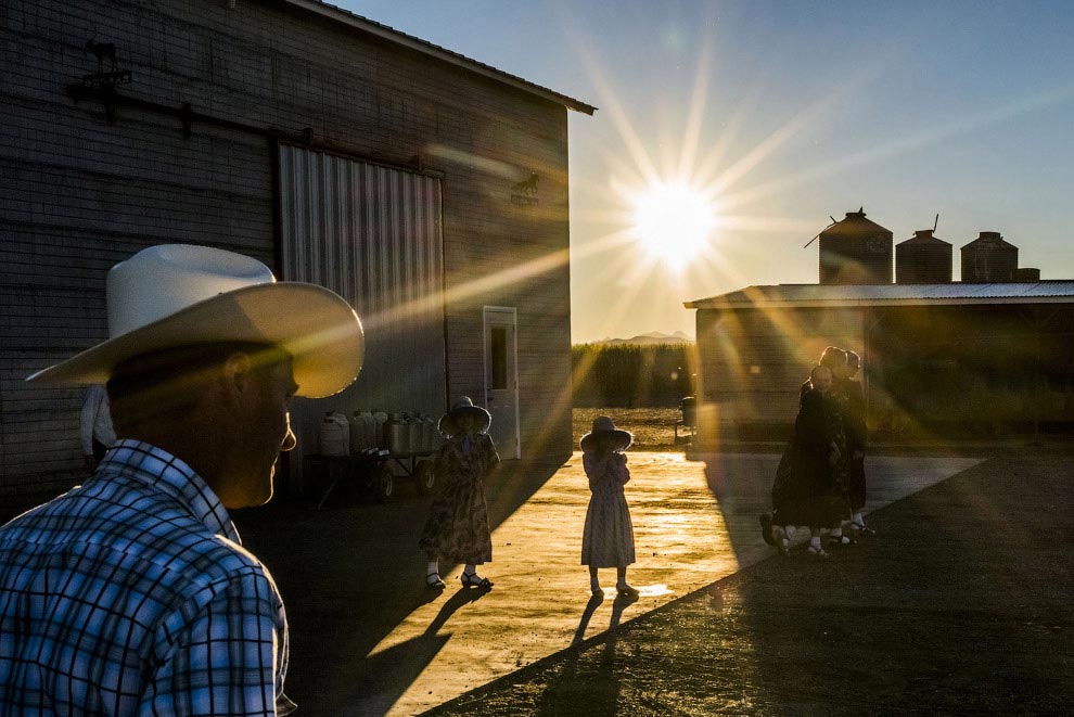 Sony World Photography Awards 2016, лучшие фотографии Sony World Photography Awards 2016