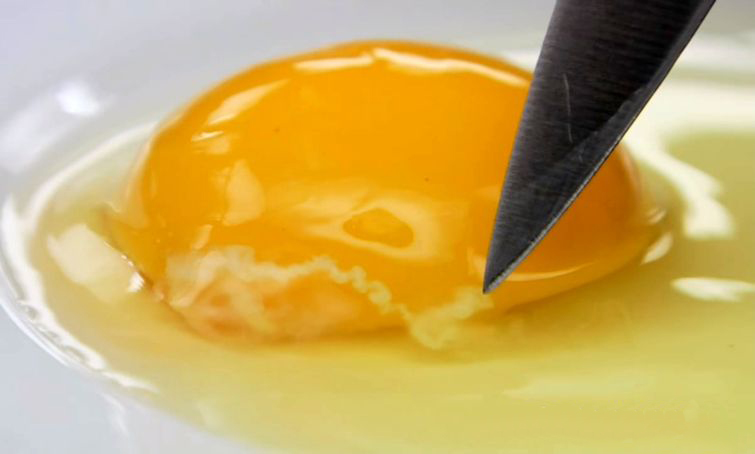 сперма на вкус как яичный белок (borschtisthebest) - Profile | Pinterest