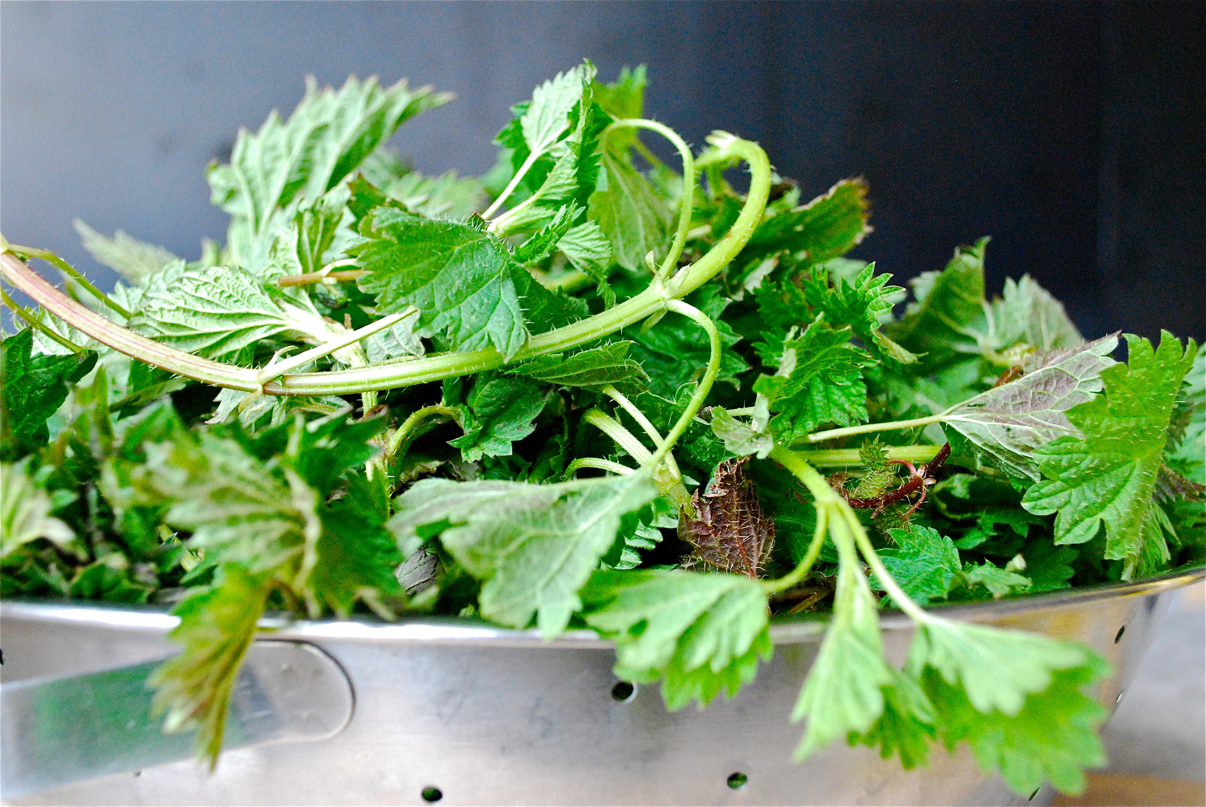 полезные продукты мая, сезонные продукты, весенние продукты