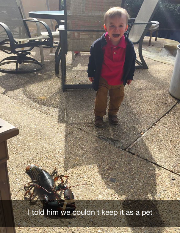 поводы по которым плачут дети, смешные причины по которым плачут дети