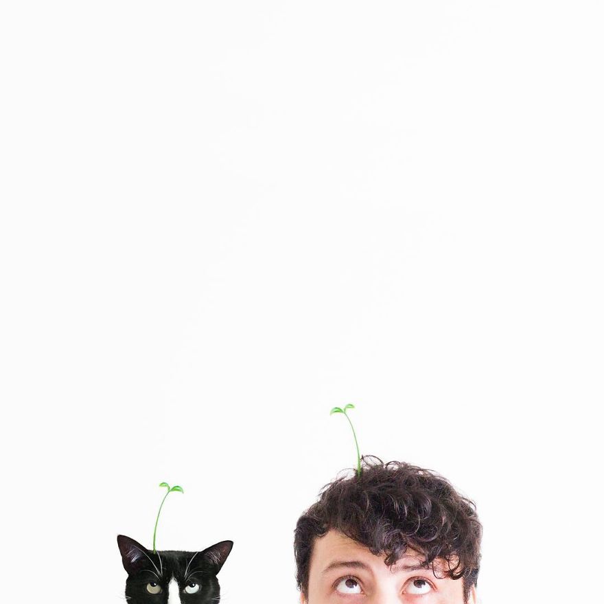 Принцесса Чито, Princess Cheeto, кошка Чито звезда Instagram