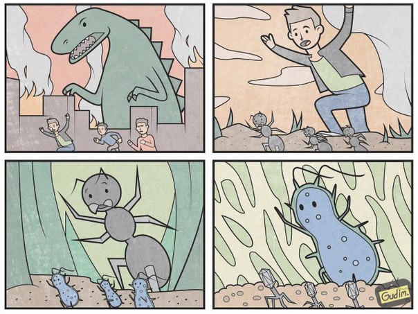 антон гудим, gudim 