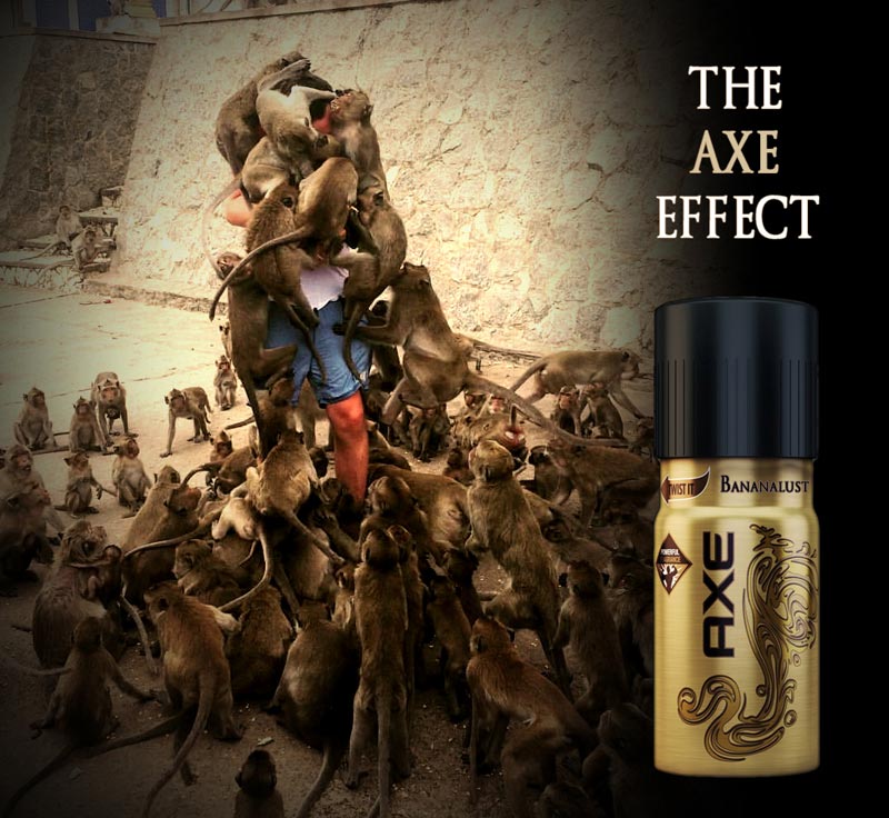 Когда игнорируешь знак Обезьян не кормить, обезьяны залезли на парня, обезьяны фотожабы, битва фотошоперов обезьяны