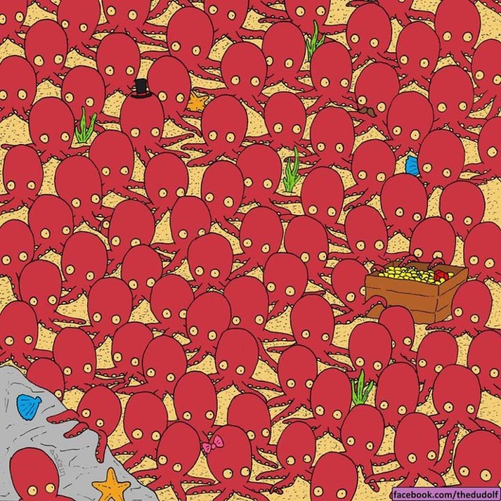 найти рыбку среди осьминогов, рыбка затаилась среди осьминогов