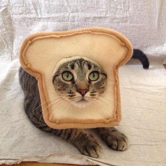 вещи в виде хлеба, вещи кто любит выпечку и хлеб