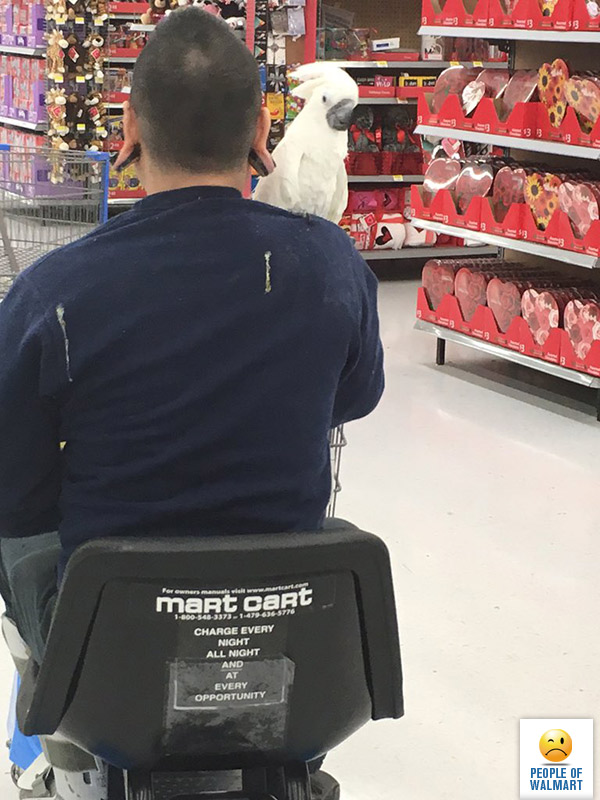 people of walmart, странные американцы, наряды посетителей американских супермаркетов