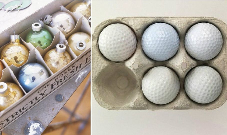 как использовать пищевые отходы, идеи по использованию отходов