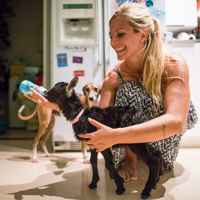 йога с козой, коза партнёр для йоги