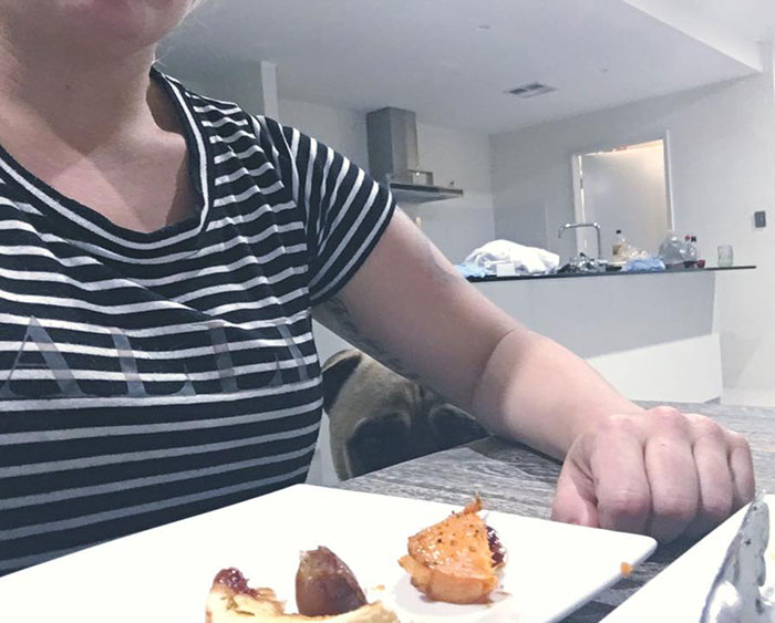 собака постоянно шпионит за своим хозяином, собака следит за хозяином, пёс Сайрус