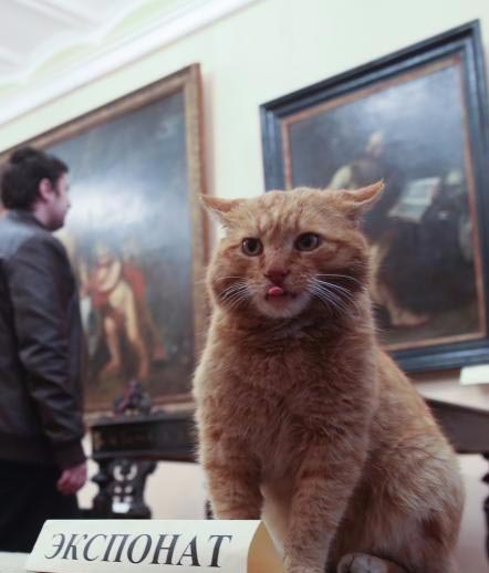 Шутка российского музея закончилась тем, что ему пришлось взять на работу кота музей взял на работу кота, музей в России взял на работу кота, кот Марай