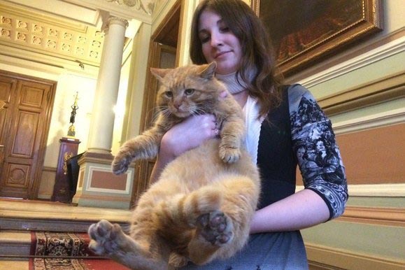 Шутка российского музея закончилась тем, что ему пришлось взять на работу кота музей взял на работу кота, музей в России взял на работу кота, кот Марай