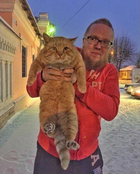 Шутка российского музея закончилась тем, что ему пришлось взять на работу кота музей взял на работу кота, музей в России взял на работу кота, кот Марай