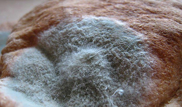 безумные медицинский препараты в истории, безумные медицинские процедуры в истории 