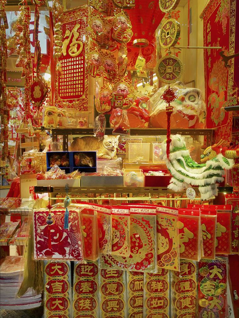 кошки в магазинах Китая, кошки в магазинах Гонконга