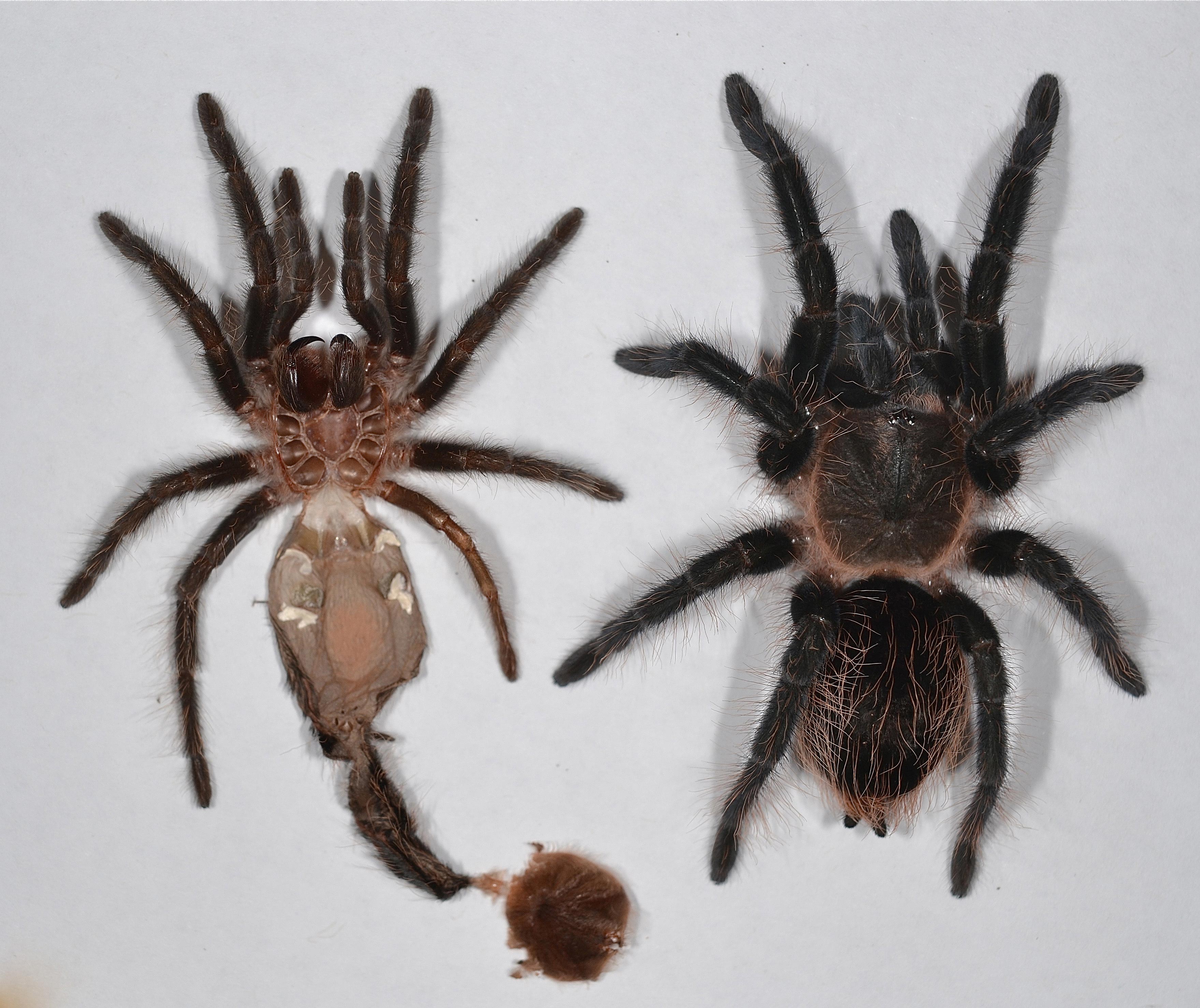 жизненные факты, факты из жизни, страшные факты