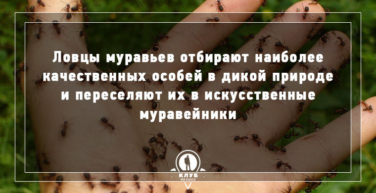 9 фактов о самых необычных, редких и странных профессиях факты о редких профессиях, странные и редкие профессии